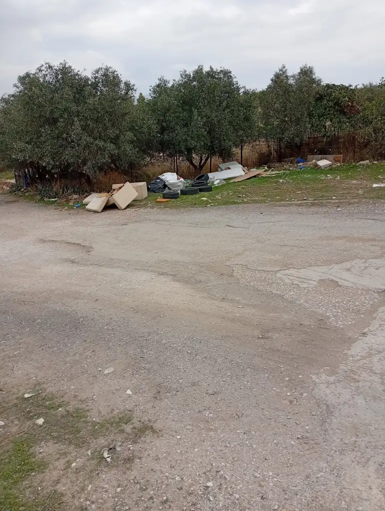 1000080635-min.webp