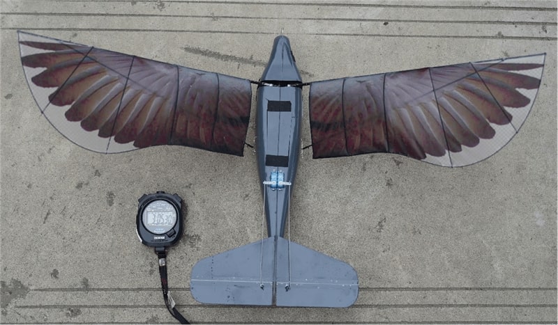 The-ornithopter-bird-drone-Xinge-developed-by-Chinas-Northwestern-Polytechnical-University.jpg