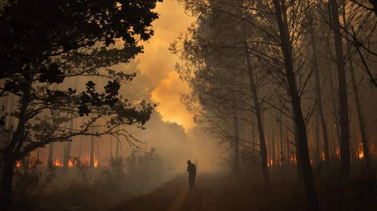 fire_12.jpg
