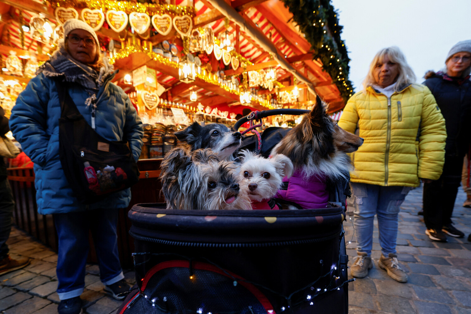 upload-2025-11-28T174921Z_1455509763_RC2R5IA8N29B_RTRMADP_3_CNRISTMAS-SEASON-GERMANY-NUREMBERG-pic4_zoom-1500x1500-69022_3.jpg