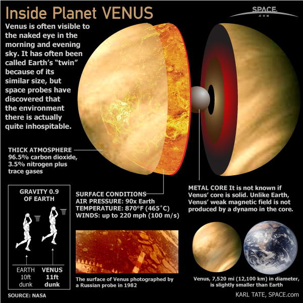 venus11.jpg